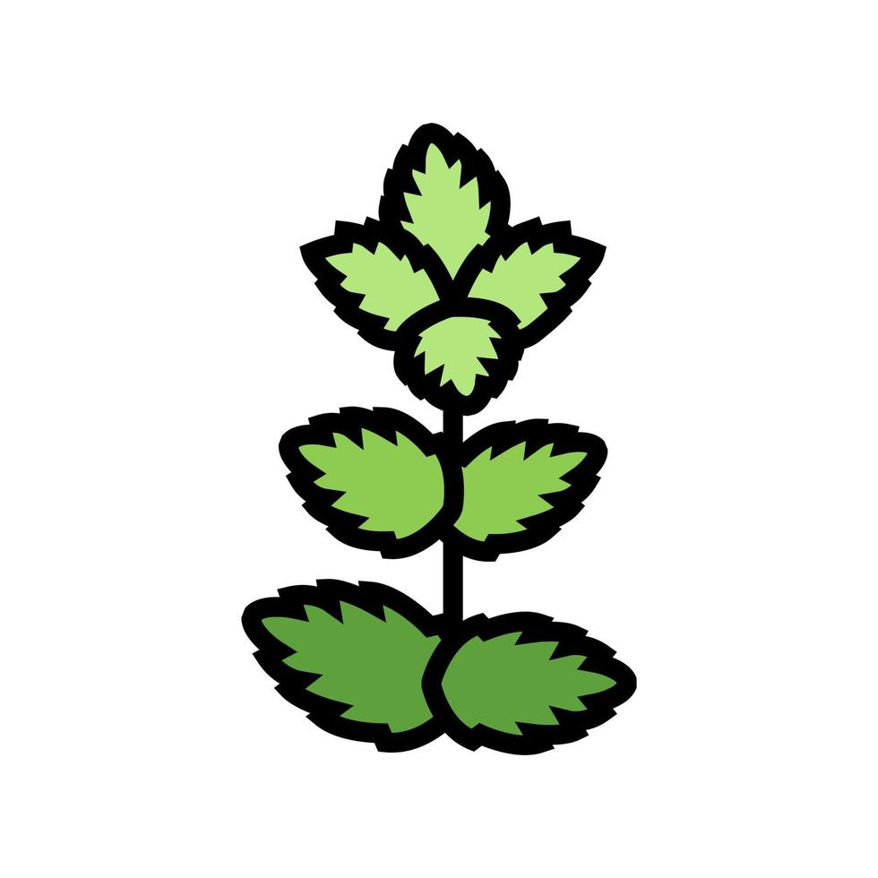 ilustración de vector de icono de color de hoja de menta