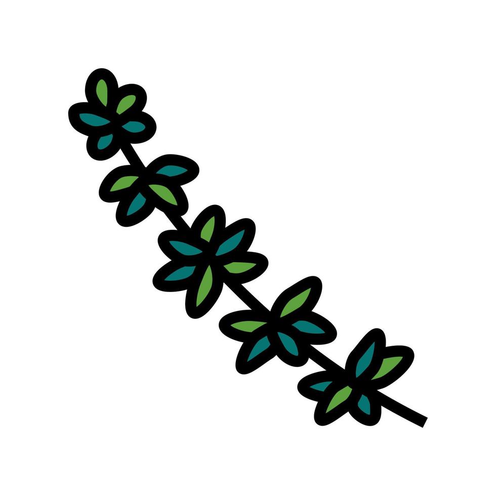 thyme branch color icon vector illustration