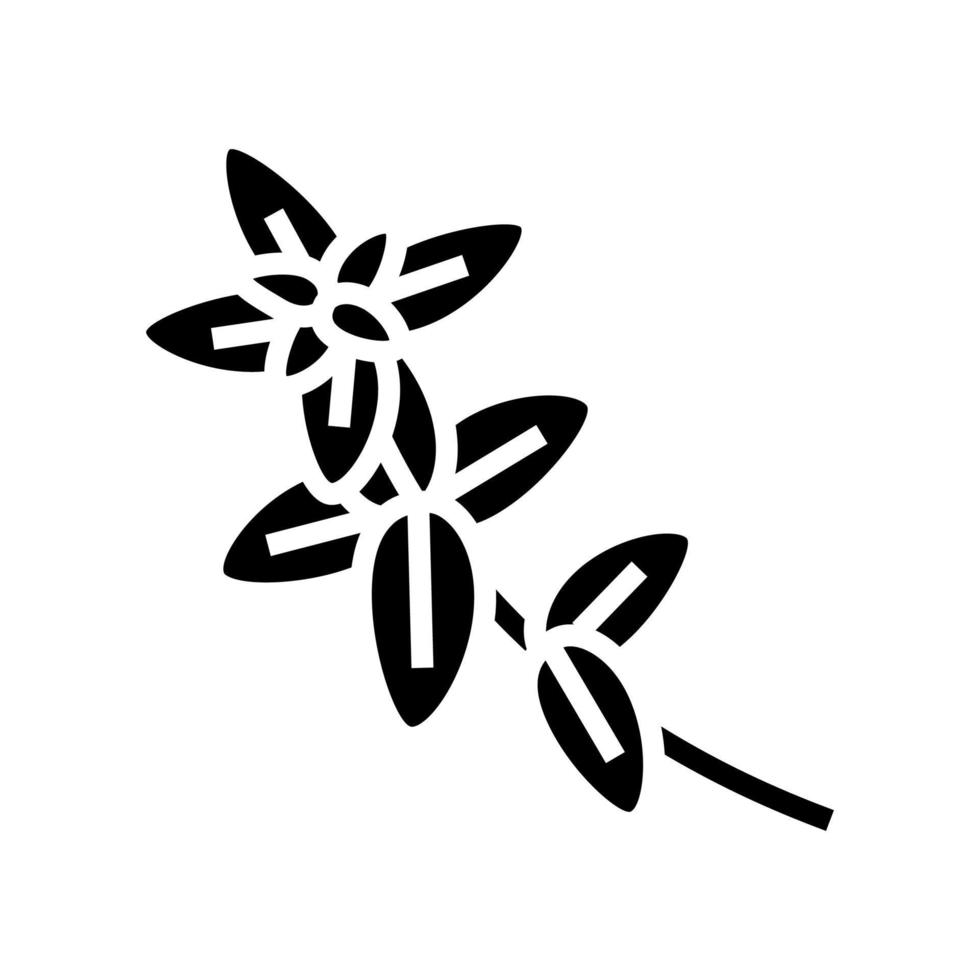 Ilustración de vector de icono de glifo de rama de planta de orégano