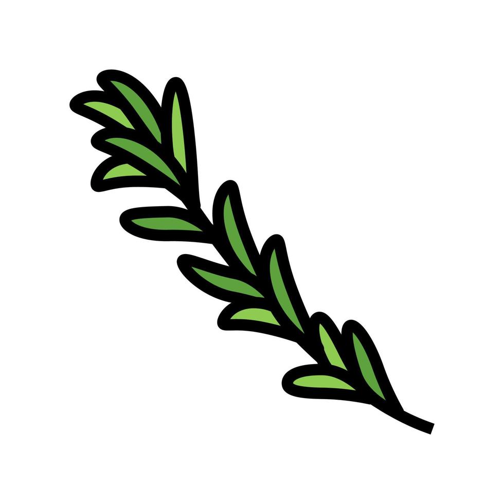 ilustración de vector de icono de color de rama de romero