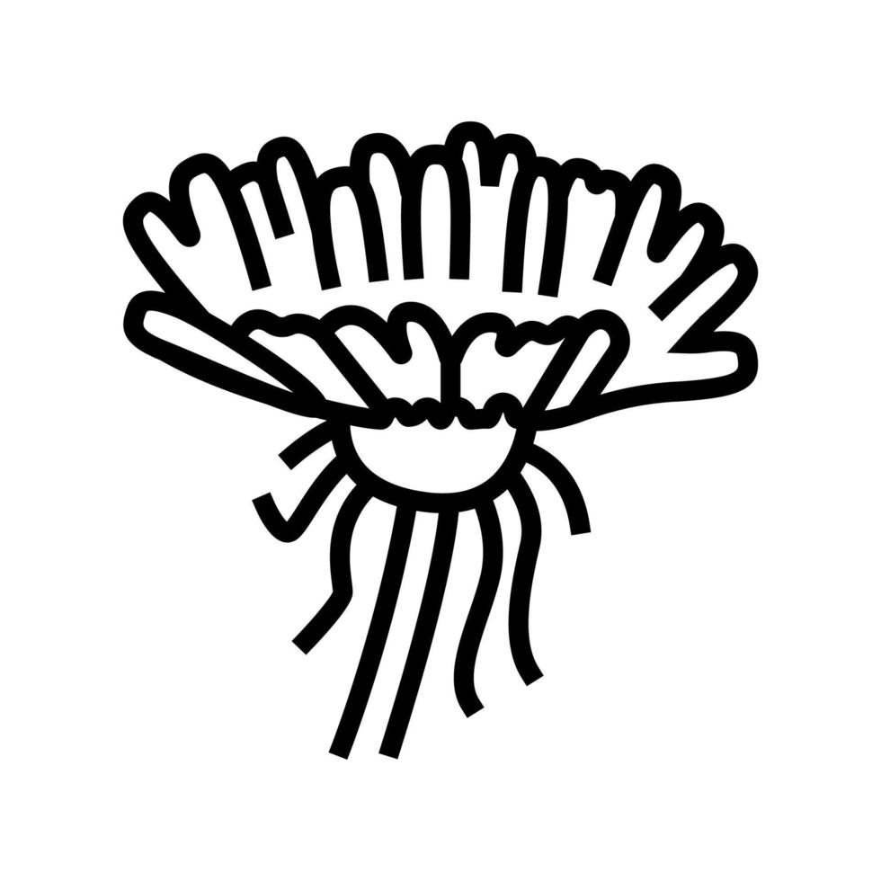 diente de león flor brote línea icono vector ilustración