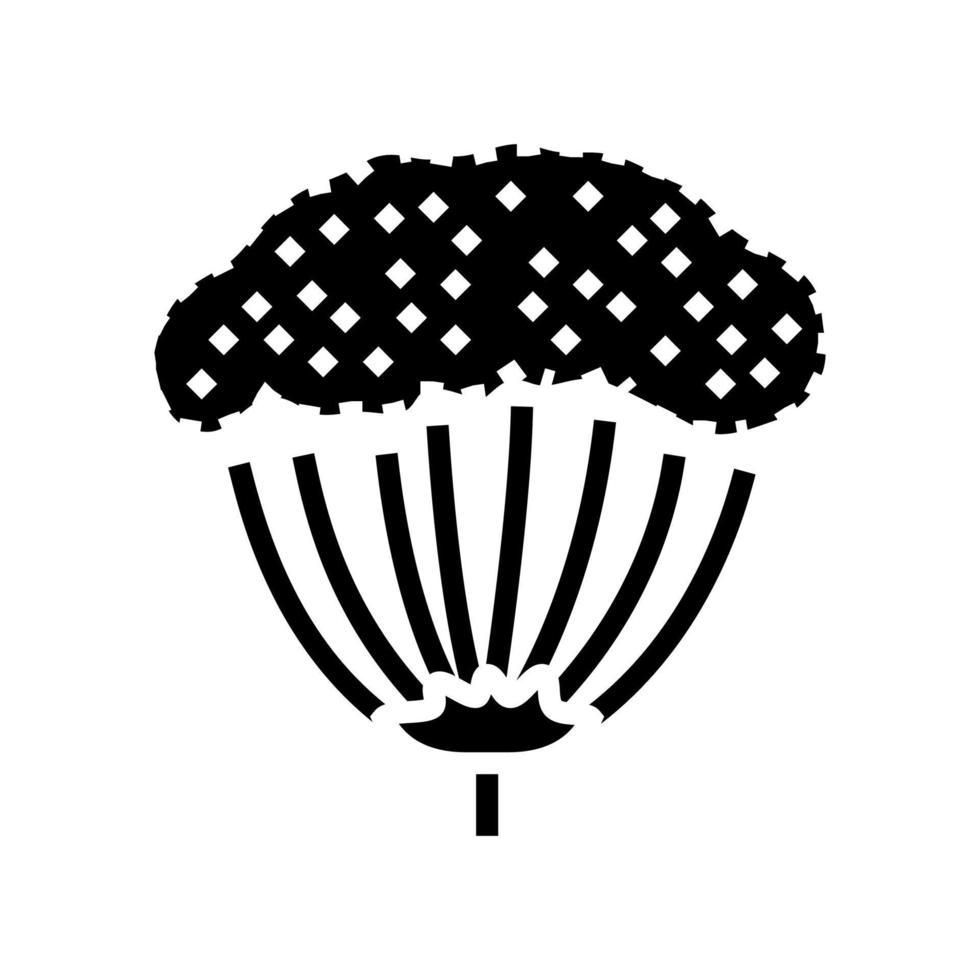 anís planta glifo icono vector ilustración