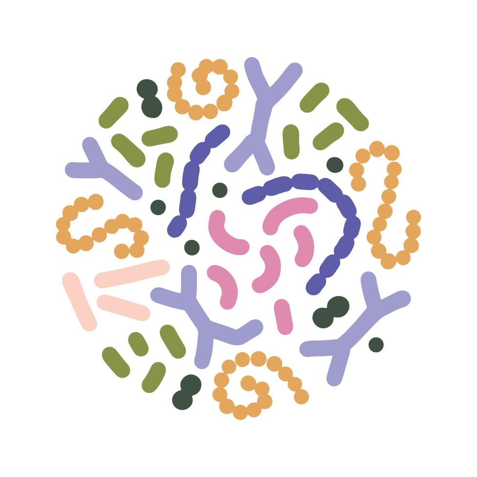 Mocrobiome in round shape . Bifidobacterium, lactobacillus, streptococcus thermophilus, lactococcus, propionibacterium. Probiotics elements for Brochure, cover, poster. Vector illustration