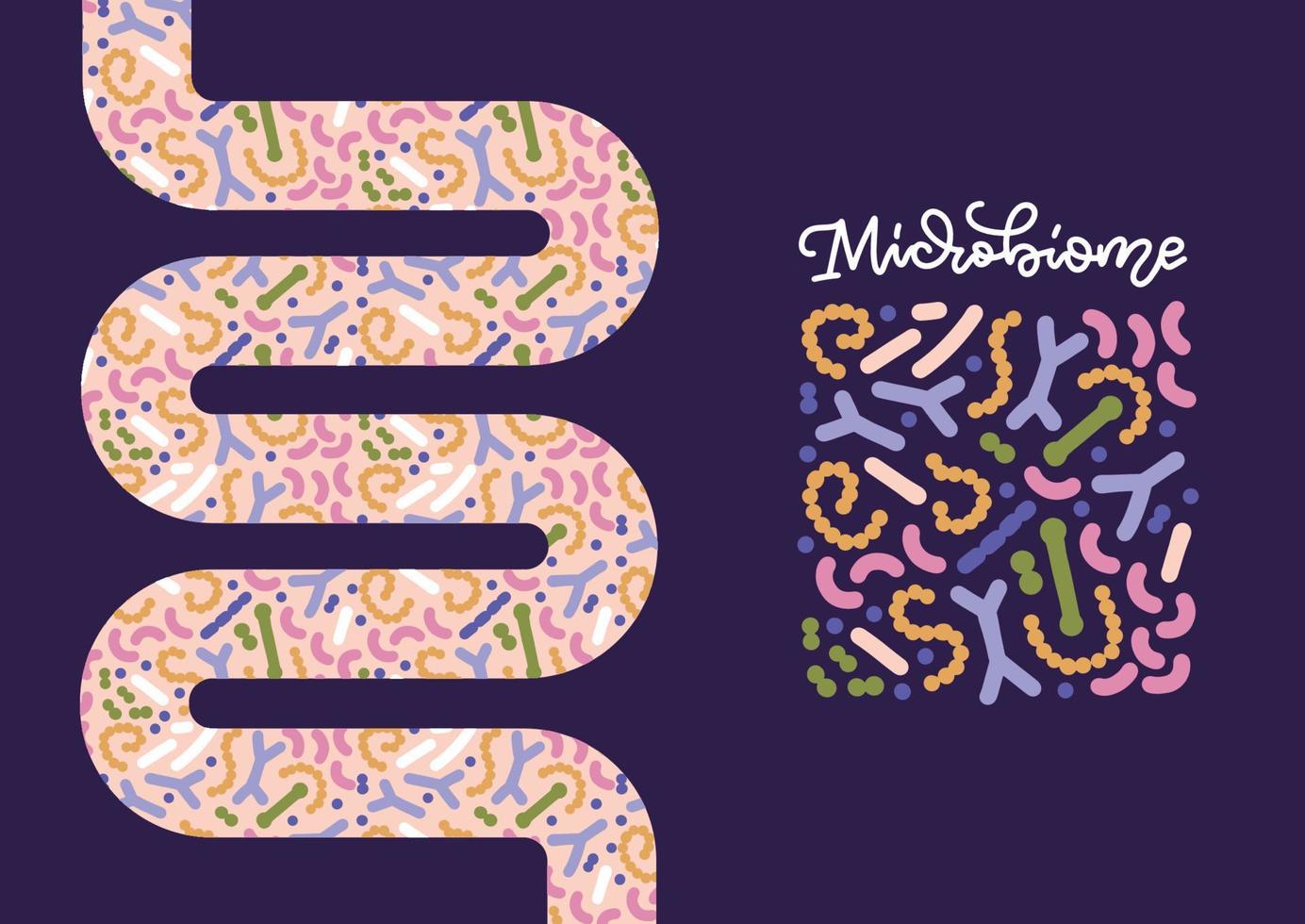 probióticos en forma de intestinos con patrón de microbioma. bifidobacterium, lactobacillus, streptococcus thermophilus, lactococcus, propionibacterium. ilustración vectorial para banner, paquete vector