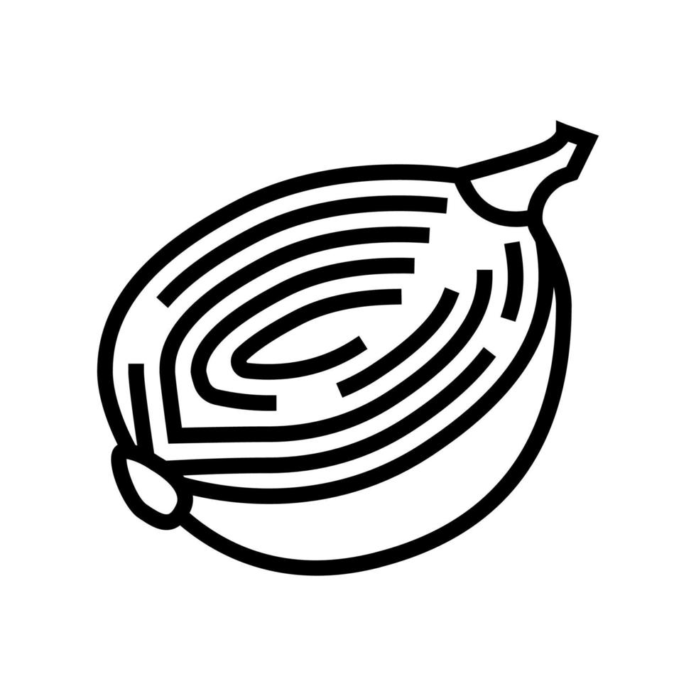 ilustración de vector de icono de línea de media cebolla
