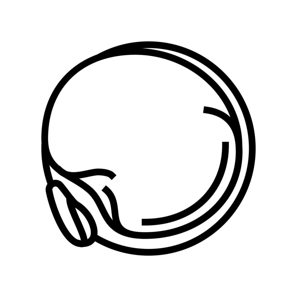 ilustración de vector de icono de línea de semilla de quinua