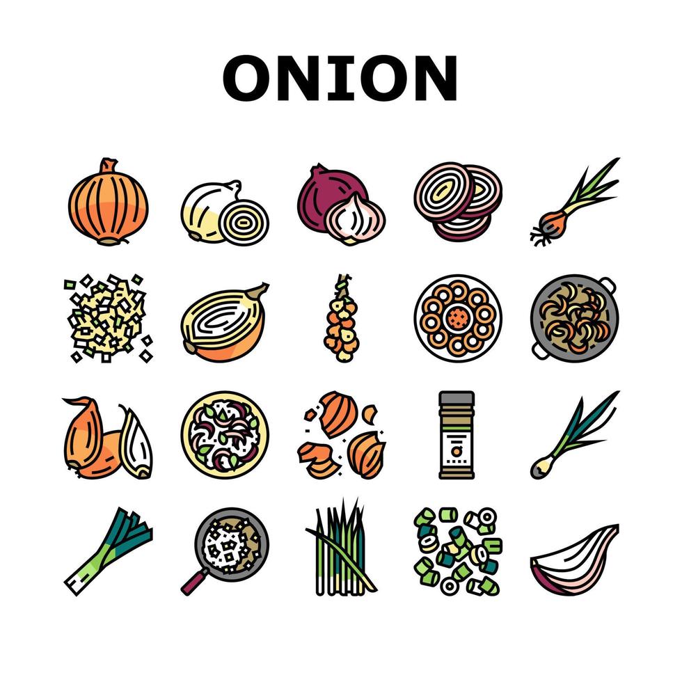 Onion Fresh Vitamin Vegetable Icons Set Vector