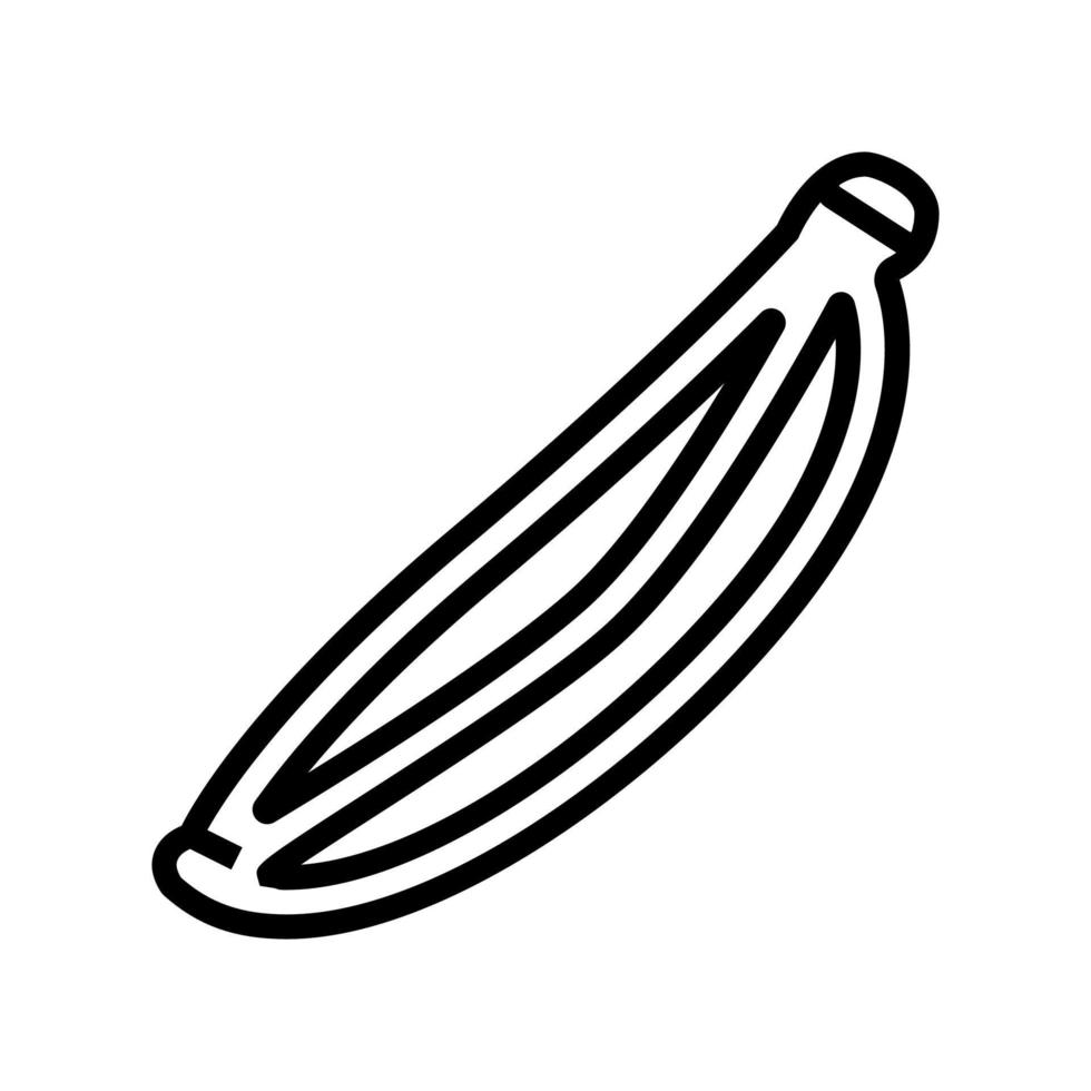 semilla de alcaravea línea icono vector ilustración