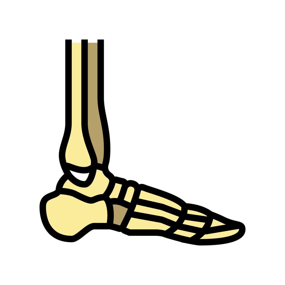 ankle bone color icon vector illustration