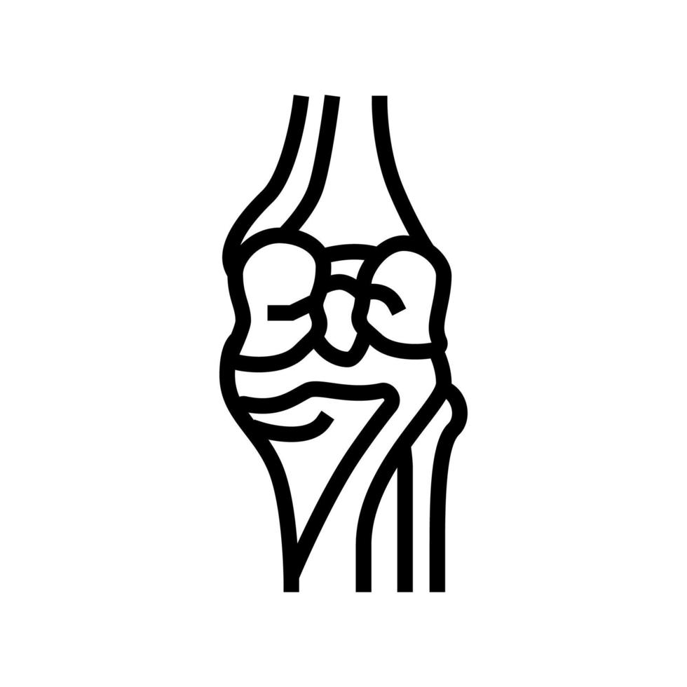 knee bone line icon vector illustration