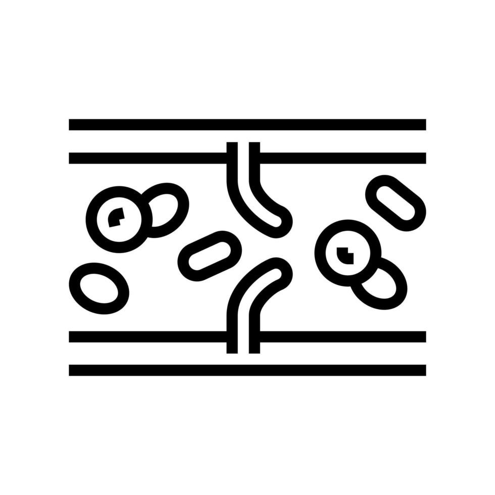 vein vessel line icon vector illustration