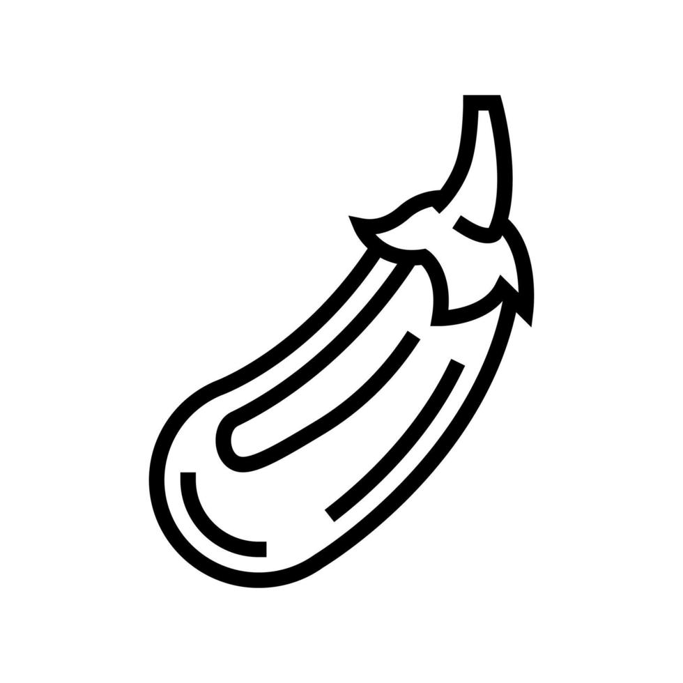 eggplant vegetable line icon vector illustration