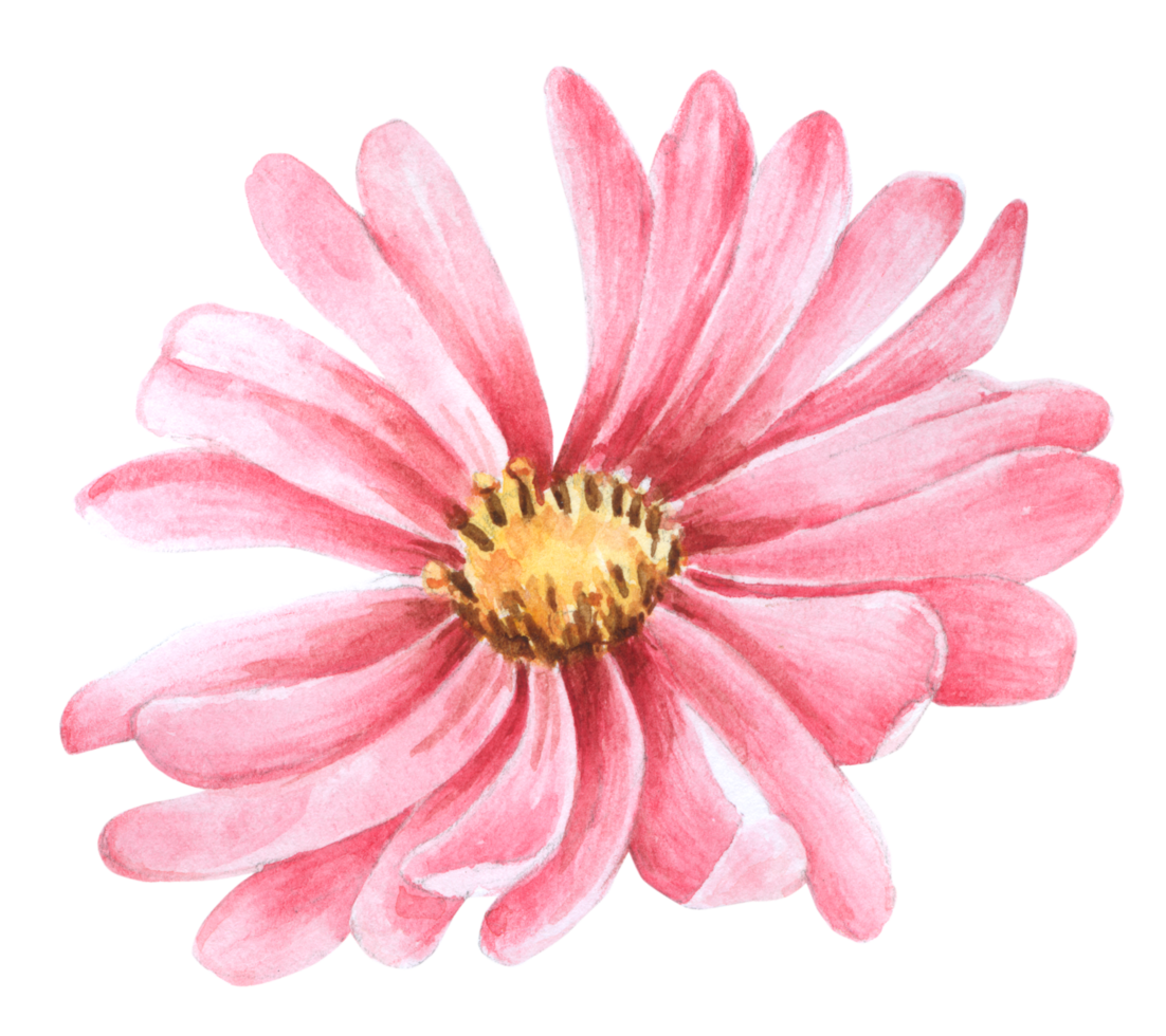 Flower watercolor wedding flower png