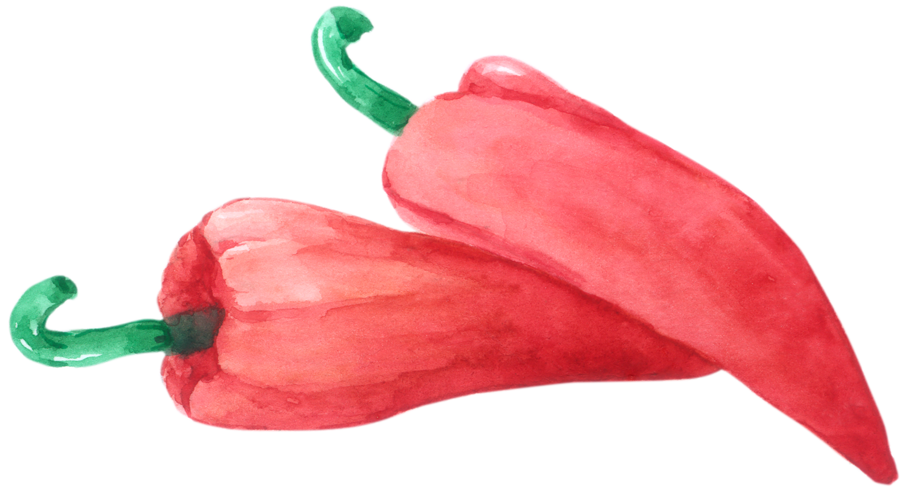 vegetabilisk akvarell handfärg png