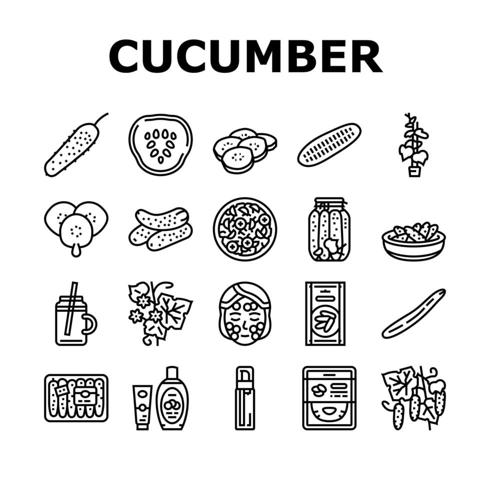 Cucumber Natural Bio Vegetable Icons Set Vector