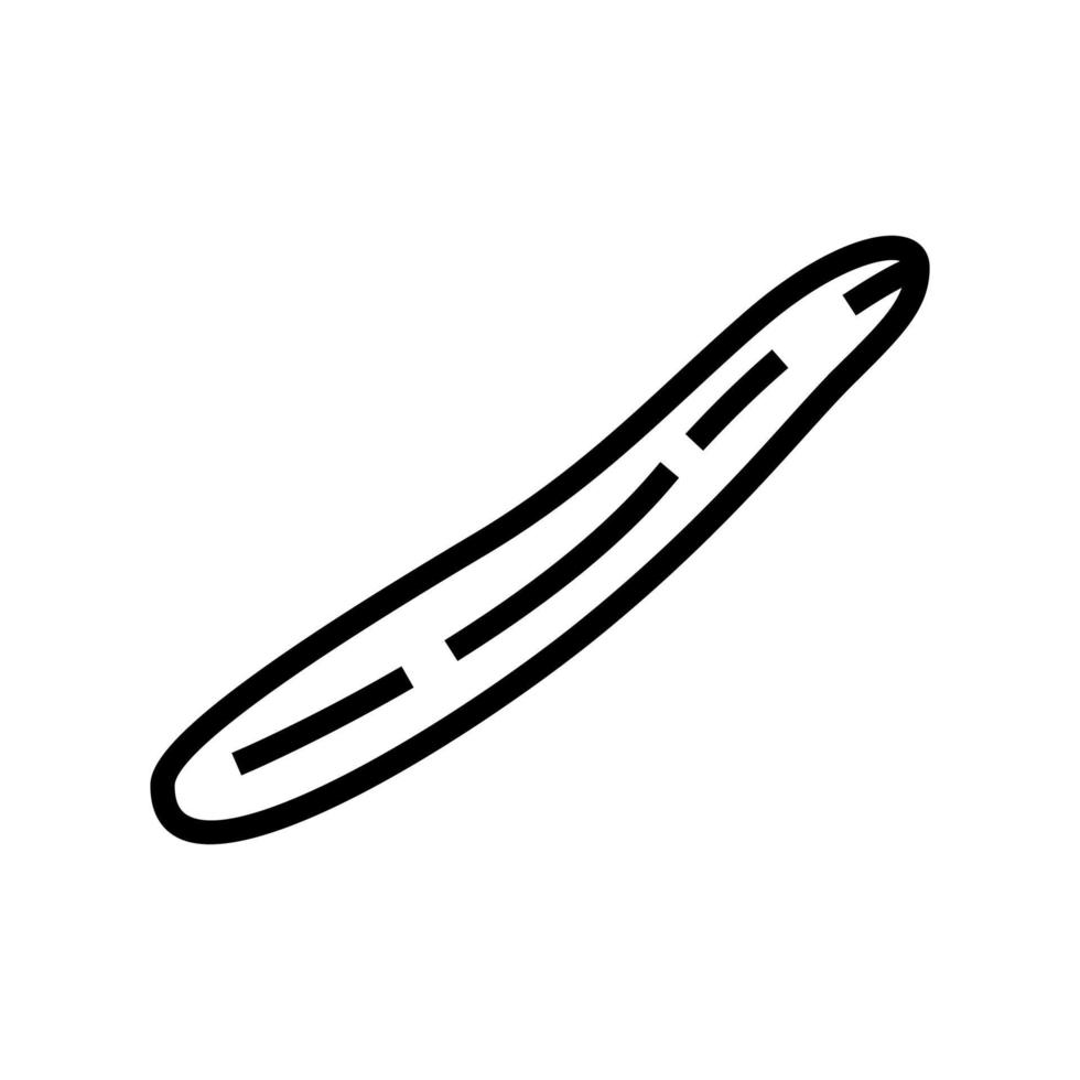 ilustración de vector de icono de línea de pepino inglés