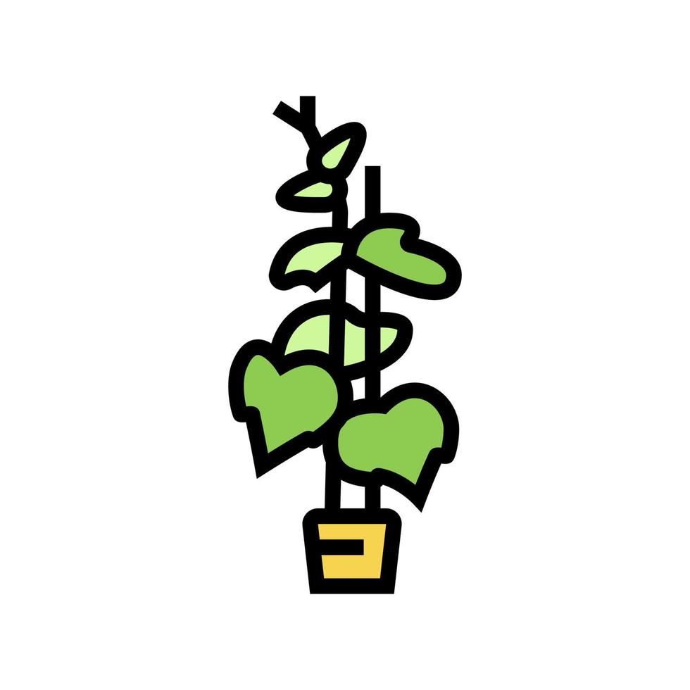 planta pepino color icono vector ilustración