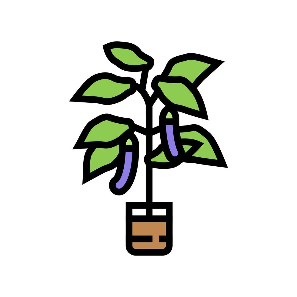 eggplant in pots color icon vector illustration