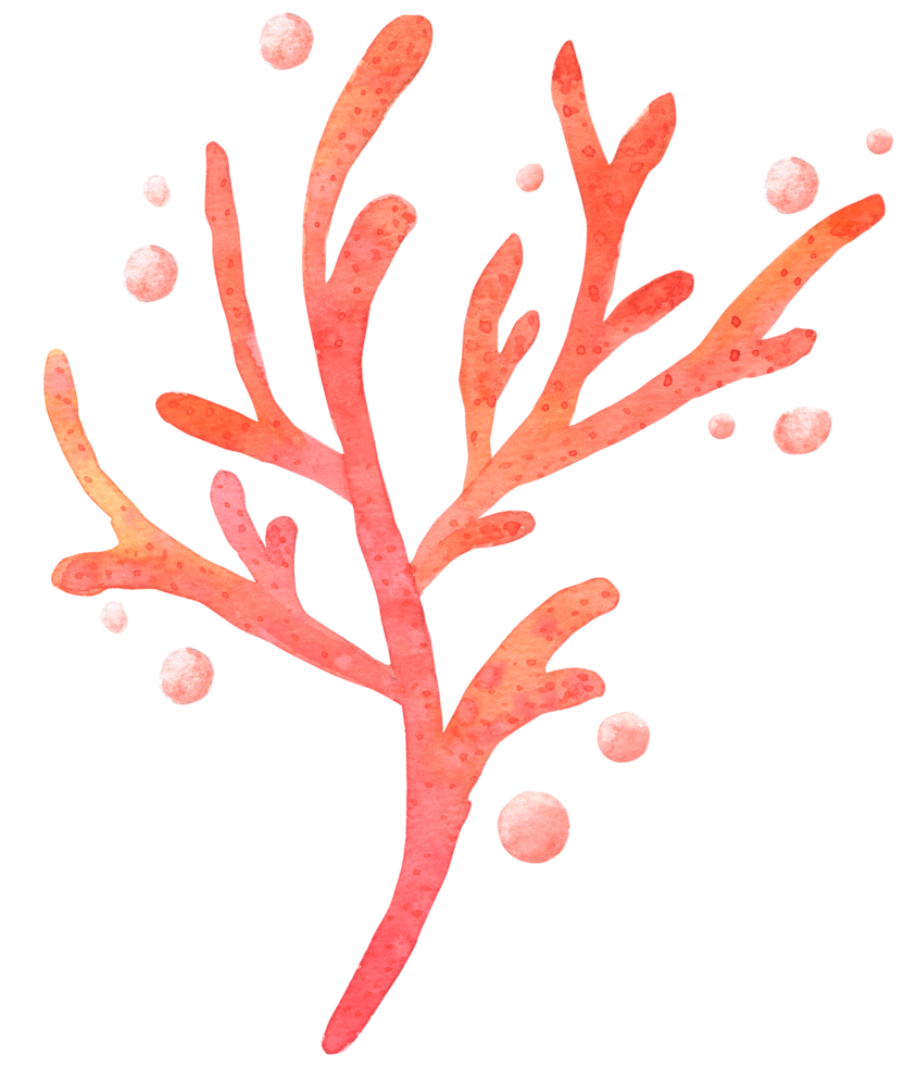 coral watercolor hand paint png