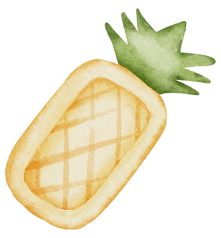 elemento de acuarela de verano png