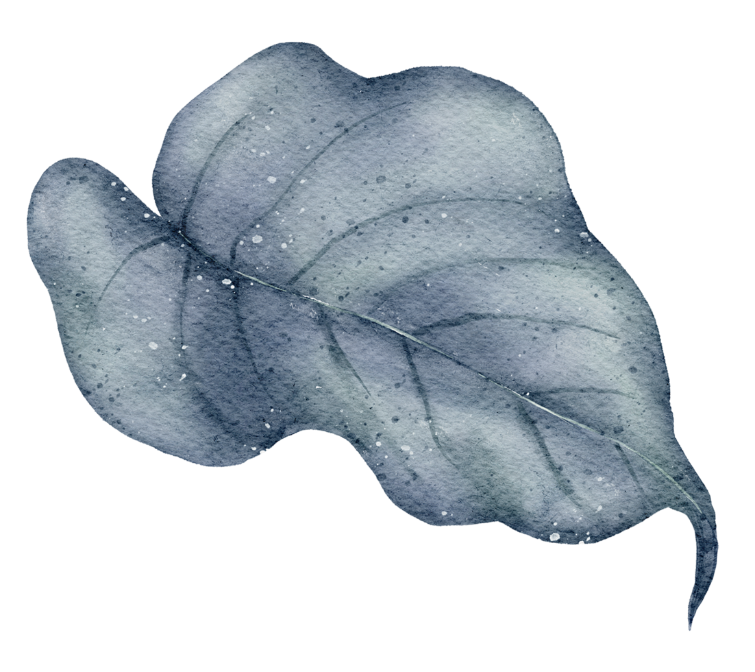 Leaf Element watercolor png