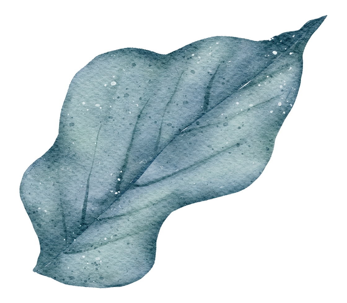 Leaf Element watercolor png