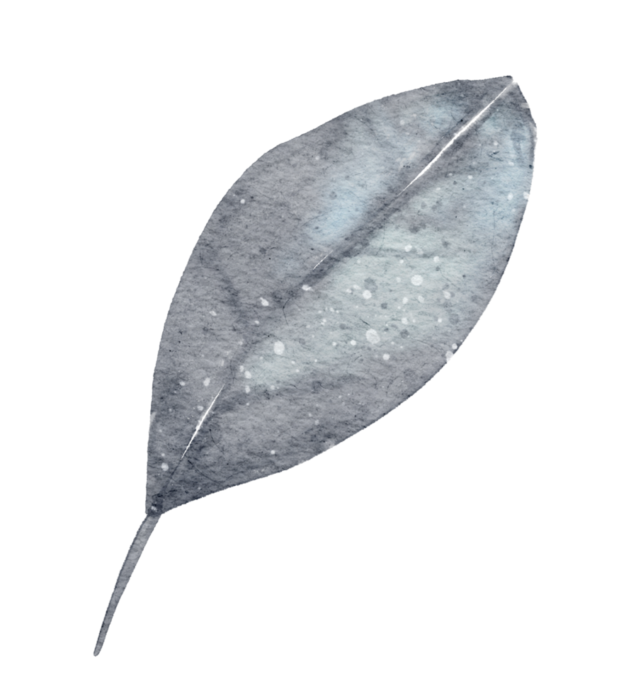 Autumn Leaf  watercolor png