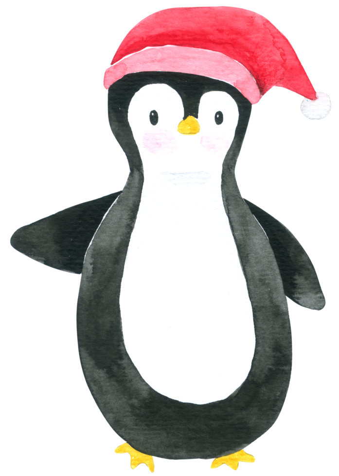 cartone animato pinguino acquerello carino png