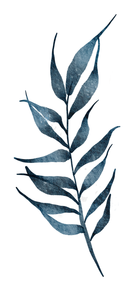 Leaf Element watercolor png