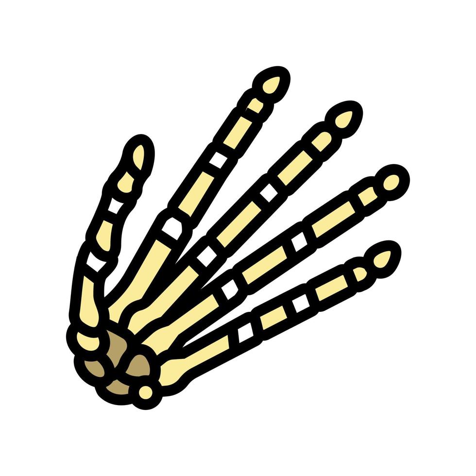 hand bone color icon vector illustration