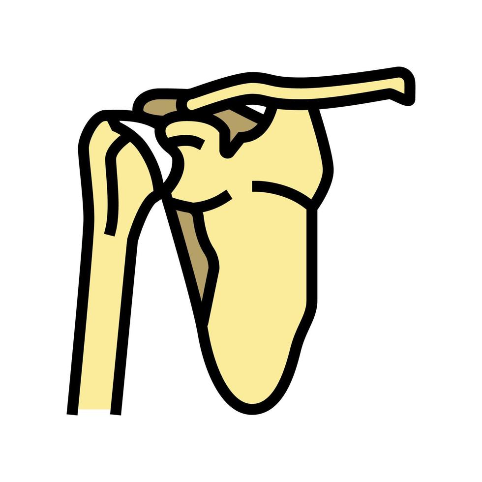 shoulder bone color icon vector illustration