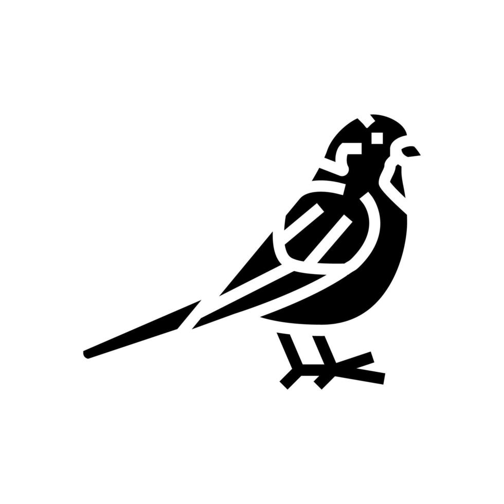 sparrow bird glyph icon vector illustration