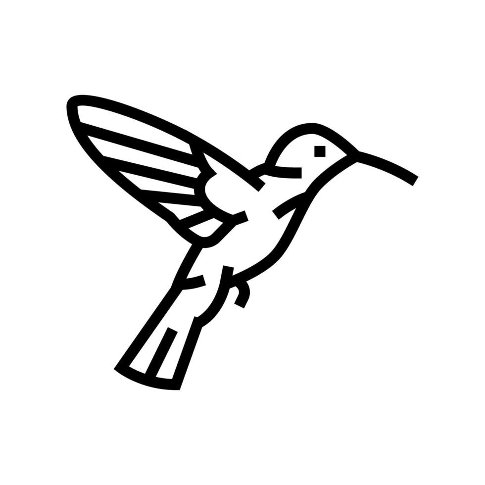 colibri bird line icon vector illustration