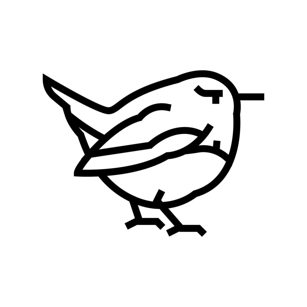 Ilustración de vector de icono de línea de pájaro wren