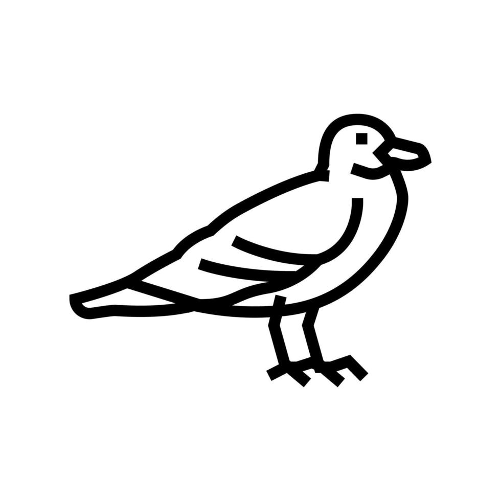 gaviota pájaro línea icono vector ilustración