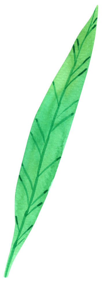 Green Leaf Element watercolor png