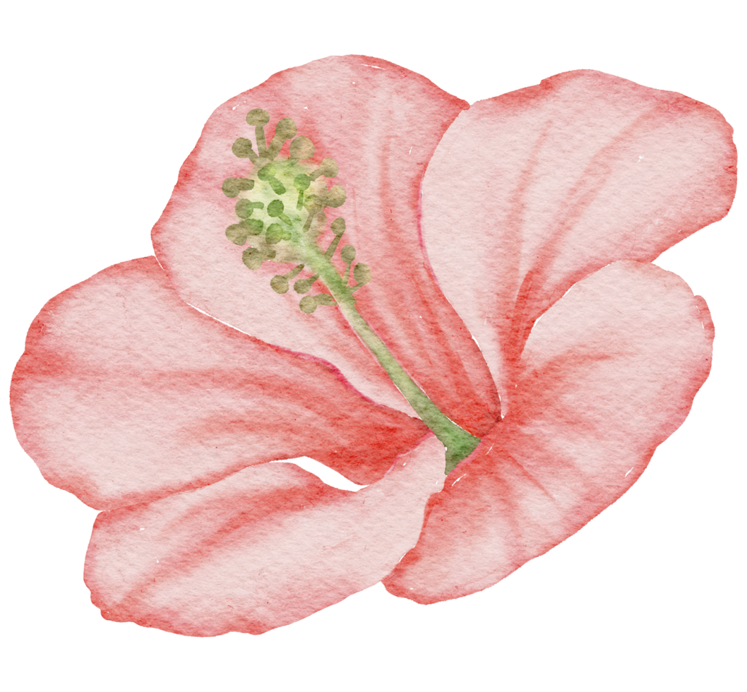 Flower Element watercolor wedding flower png