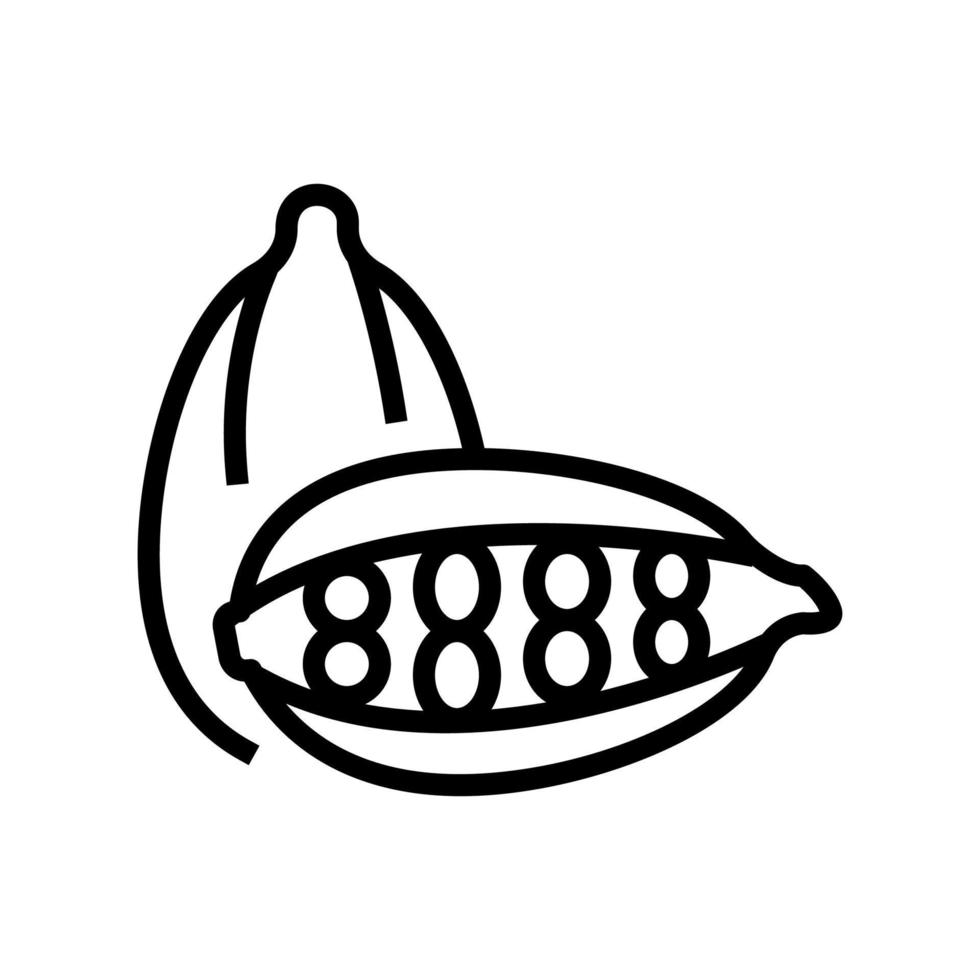 cardamom aromatherapy line icon vector isolated illustration