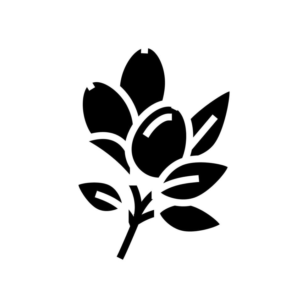 rosehip aromatherapy glyph icon vector isolated illustration