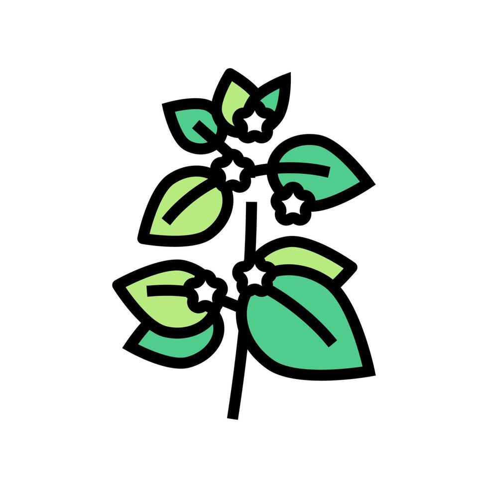 melissa herbal aromaterapia color icono vector aislado ilustración