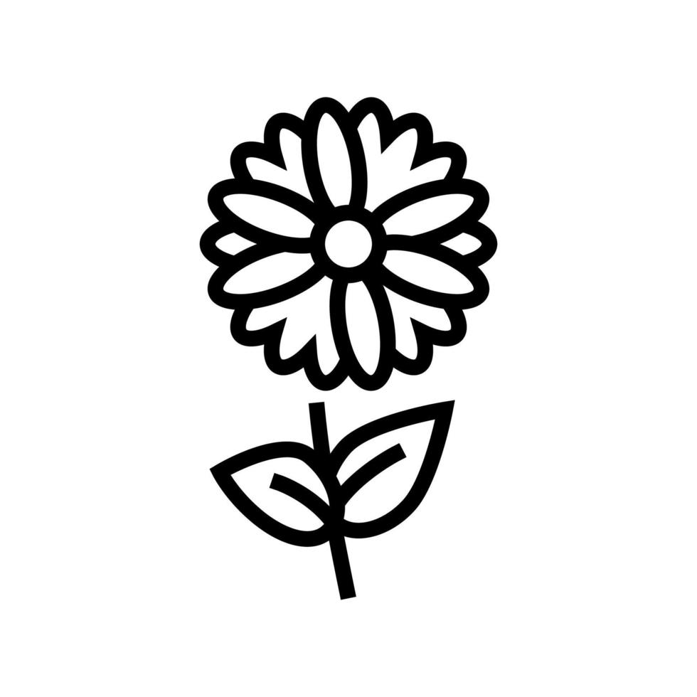 chamomile flower aromatherapy line icon vector isolated illustration