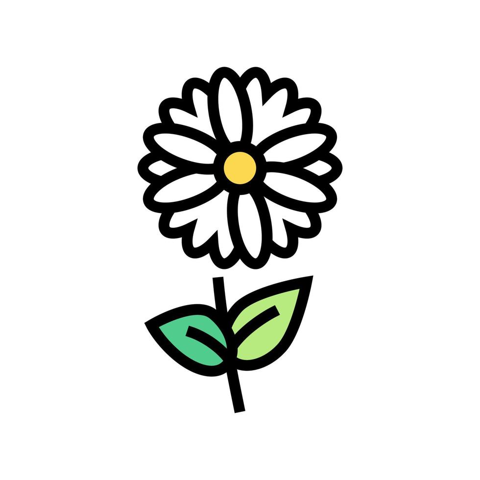 chamomile flower aromatherapy color icon vector isolated illustration