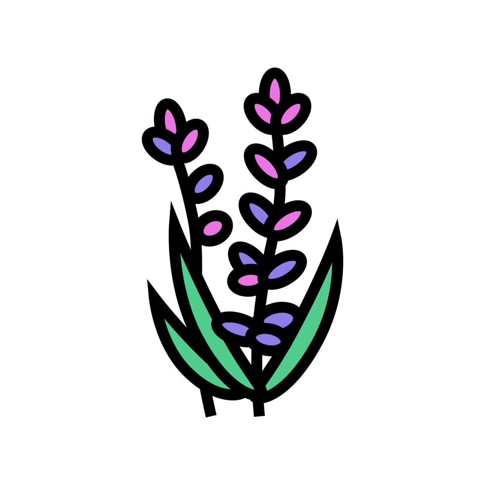 lavender flower aromatherapy color icon vector isolated illustration