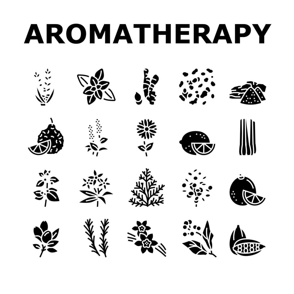 Aromatherapy Herbs Collection Icons Set Vector Illustration
