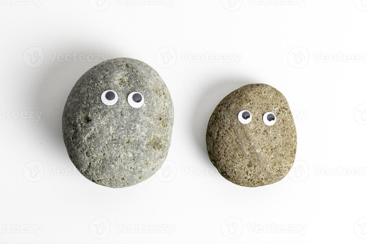 Pet Rock With Googly Eyes photo