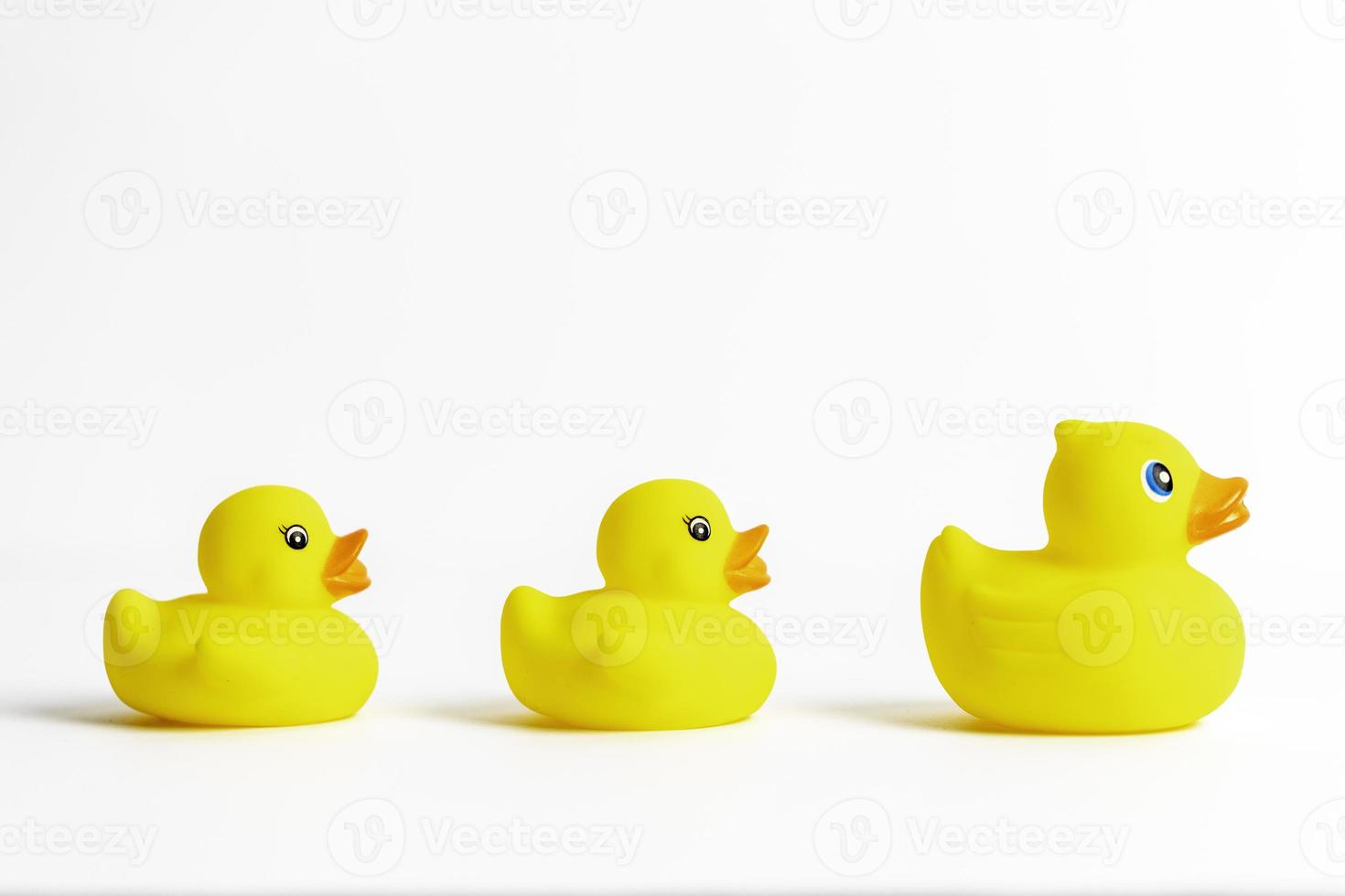 Yellow Rubber Duck 10193637 Stock Photo at Vecteezy