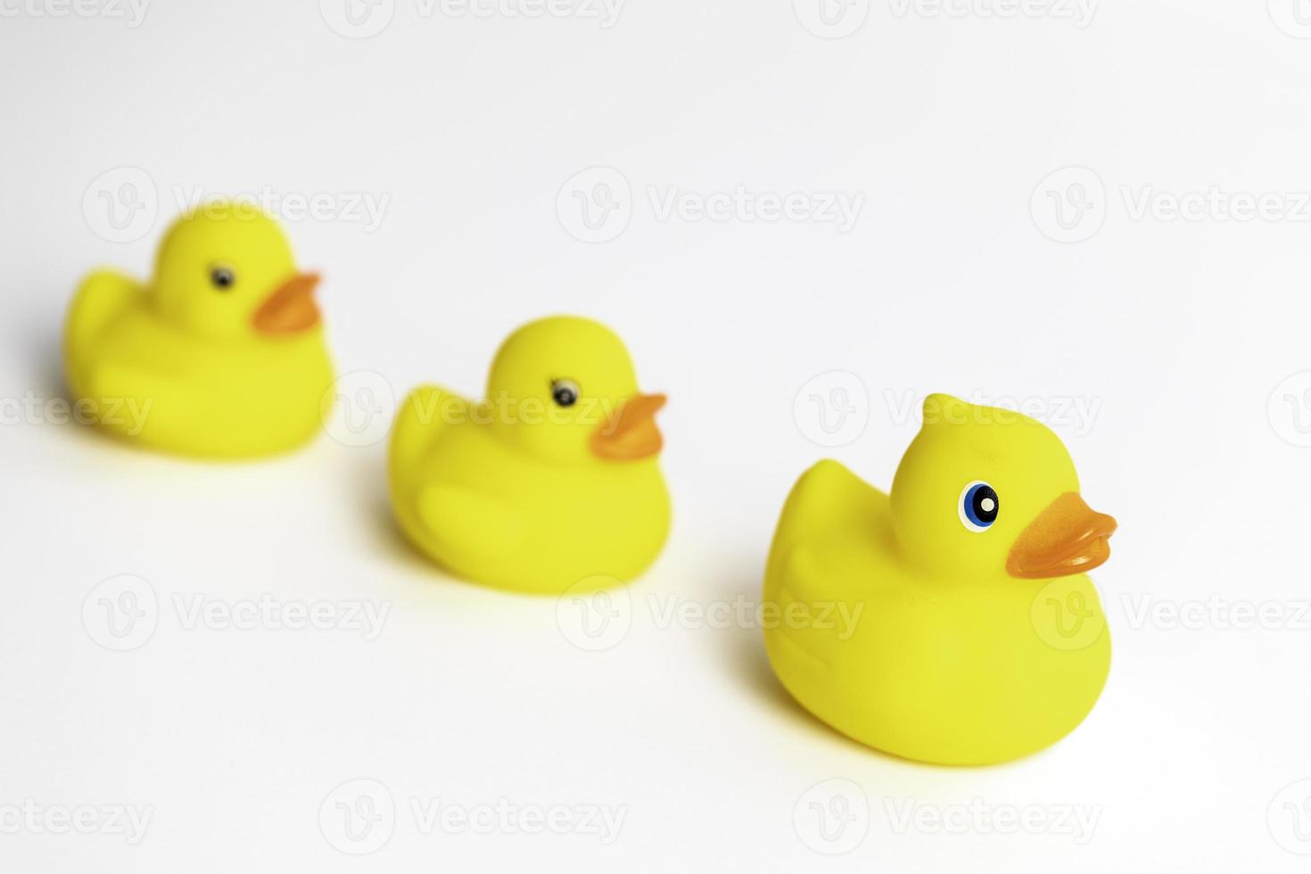 Yellow Rubber Duck photo