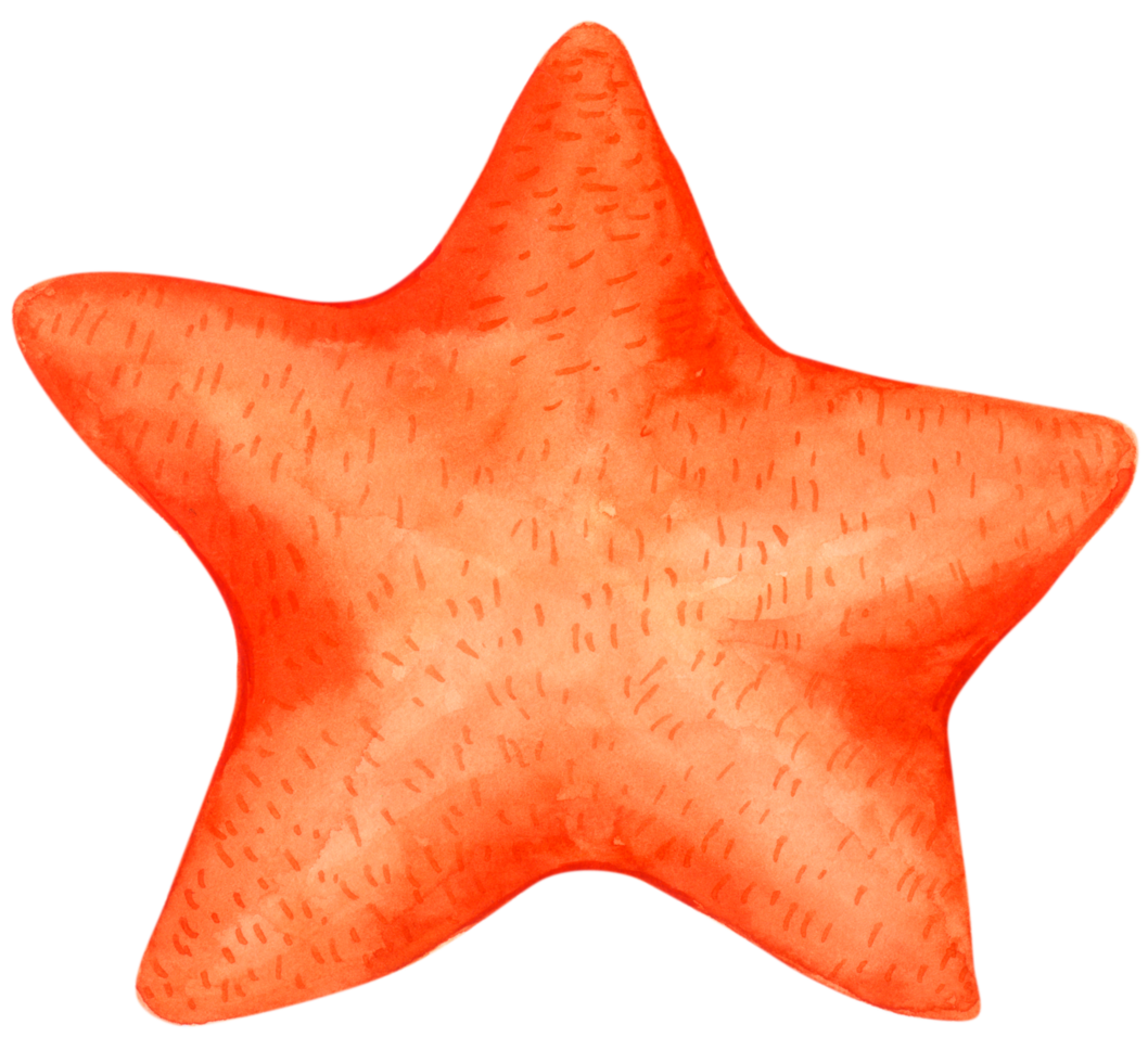 Star Fish watercolor hand paint png