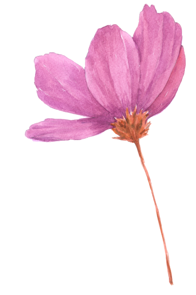 Flower watercolor wedding flower png