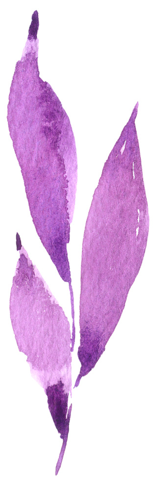 acquerello foglia viola png